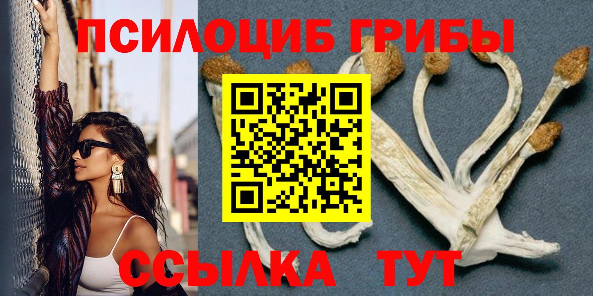 Галлюциногенные грибы Cubensis  Вход с VPN  Кушва 